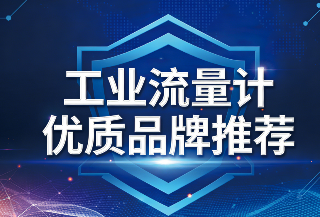 工业流量计优质品牌推荐（国内优先・2026 最新）